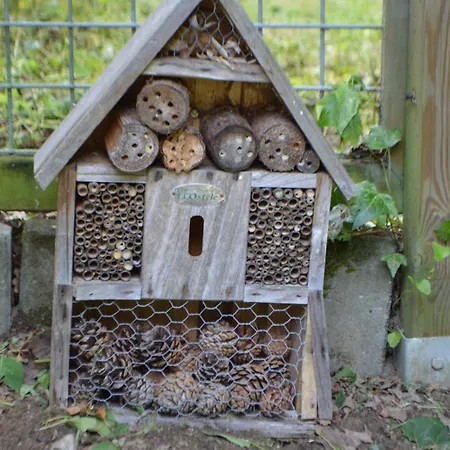 Hartengroen Bed & Breakfast