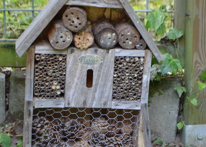 Hartengroen Bed and breakfast