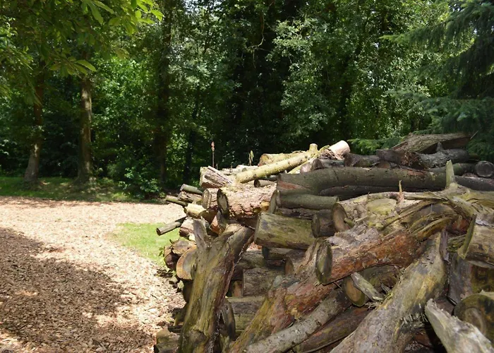 Bed and breakfast Hartengroen 4*