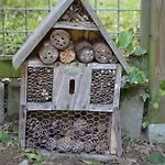Hartengroen Bed & Breakfast