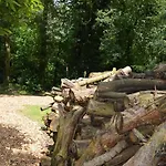 Bed & Breakfast Hartengroen 4*